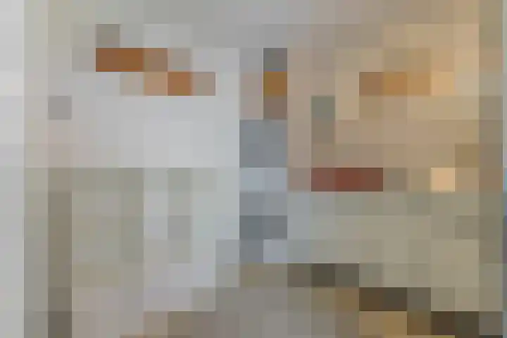 Eindhovenseweg 21 Waalre thumbnail 20
