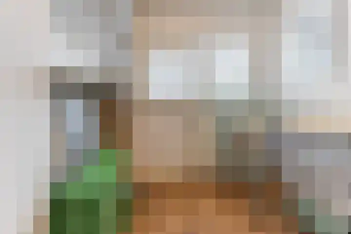 Eindhovenseweg 21 Waalre thumbnail 26