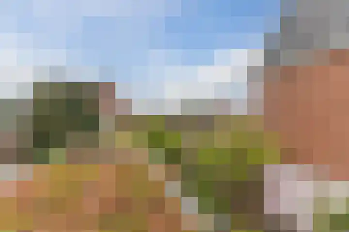 Eindhovenseweg 21 Waalre thumbnail 33
