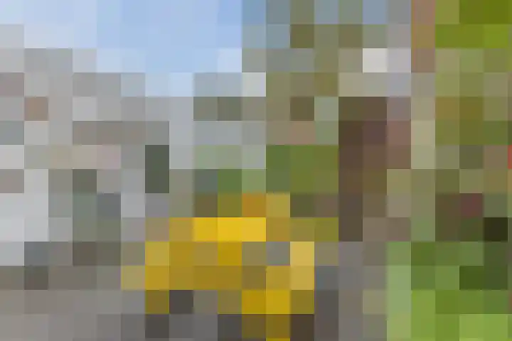Eindhovenseweg 21 Waalre thumbnail 42