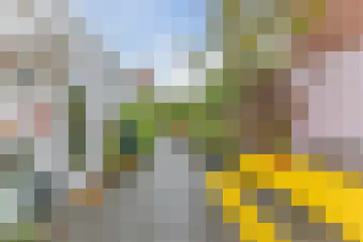 Eindhovenseweg 21 Waalre thumbnail 44