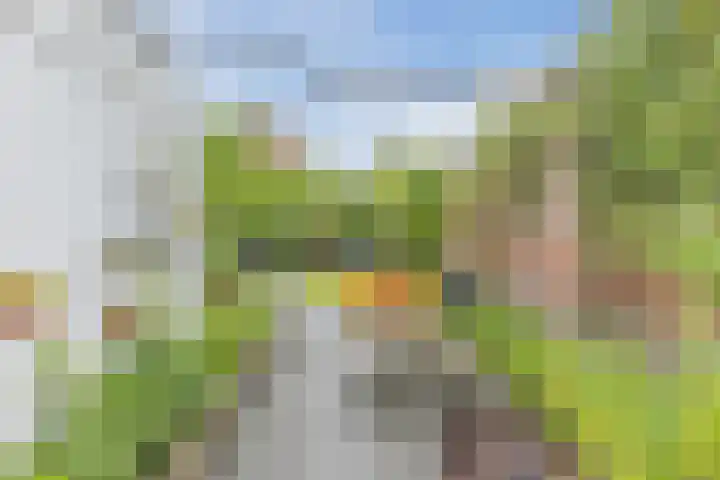 Eindhovenseweg 21 Waalre thumbnail 46