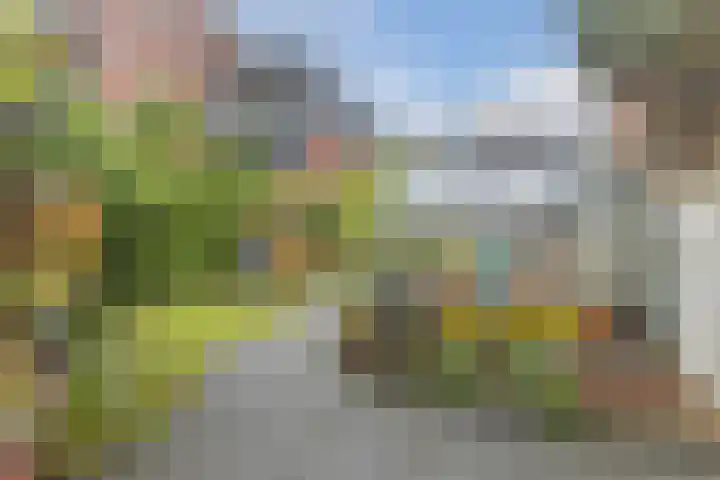 Eindhovenseweg 21 Waalre thumbnail 47