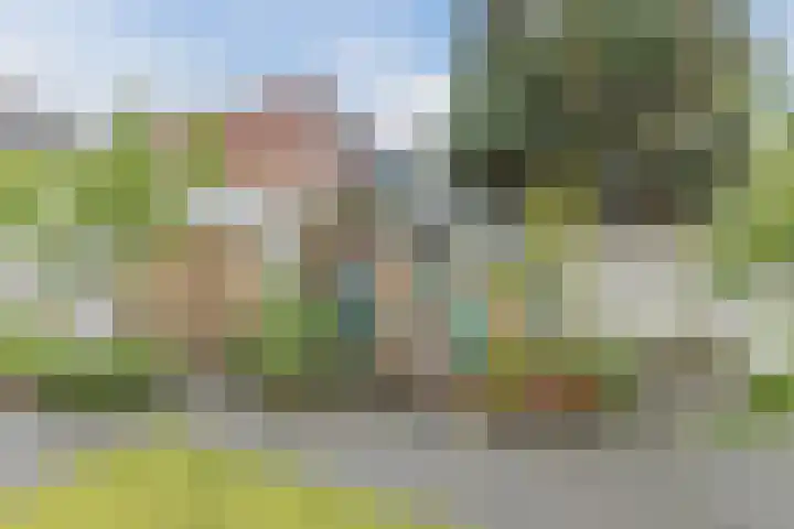 Eindhovenseweg 21 Waalre thumbnail 48