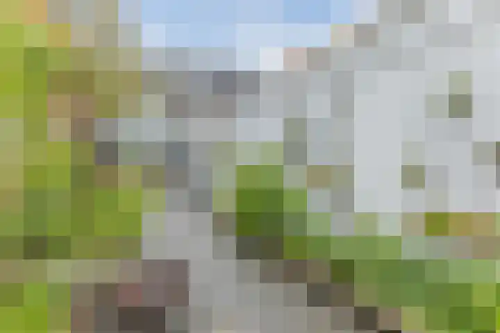 Eindhovenseweg 21 Waalre thumbnail 6
