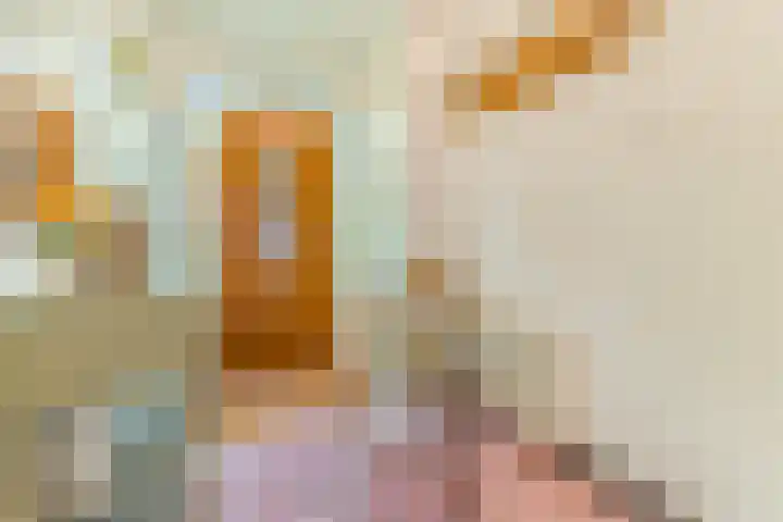 Eindhovenseweg 21 Waalre thumbnail 8