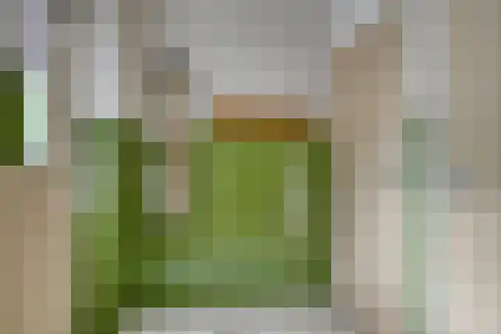 Eindhovenseweg 22 Steensel thumbnail 24