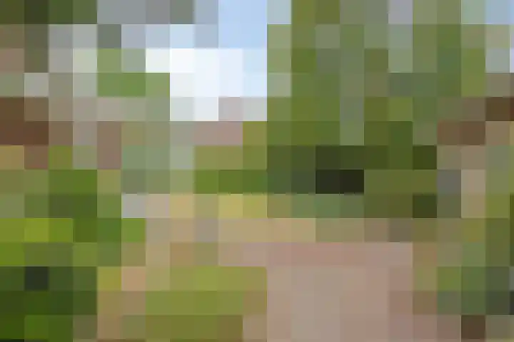 Eindhovenseweg 22 Steensel thumbnail 40