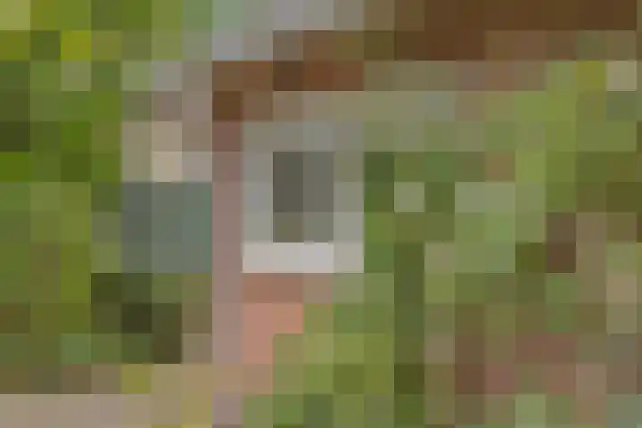 Eindhovenseweg 22 Steensel thumbnail 41