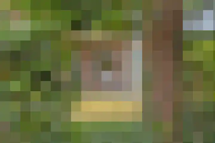 Eindhovenseweg 22 Steensel thumbnail 42