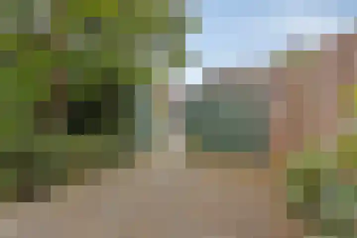Eindhovenseweg 22 Steensel thumbnail 43