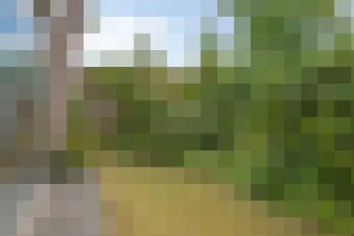Eindhovenseweg 22 Steensel thumbnail 45