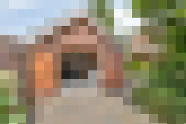 Eindhovenseweg 22 Steensel thumbnail 47