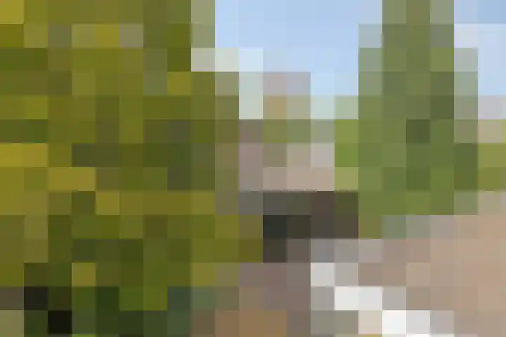 Eindhovenseweg 22 Steensel thumbnail 50