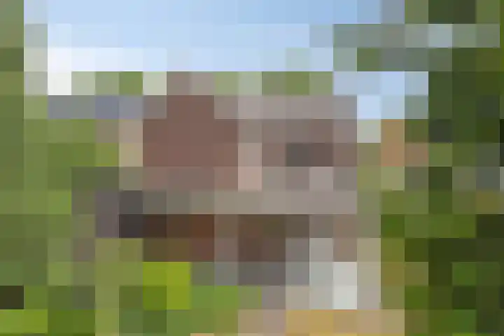 Eindhovenseweg 22 Steensel thumbnail 51