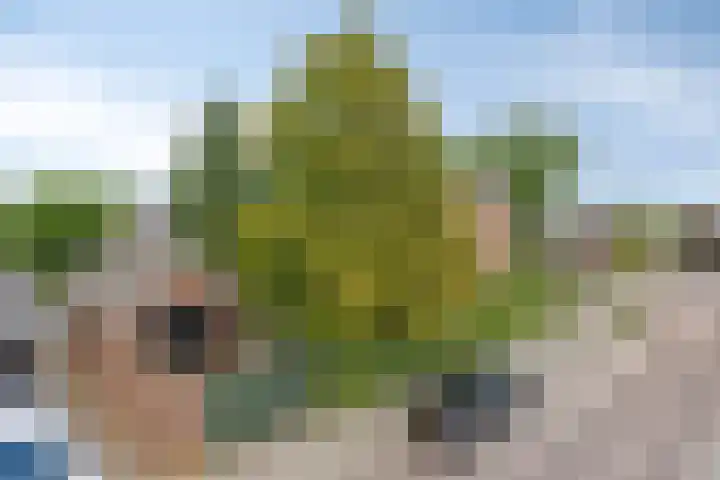 Eindhovenseweg 22 Steensel thumbnail 52