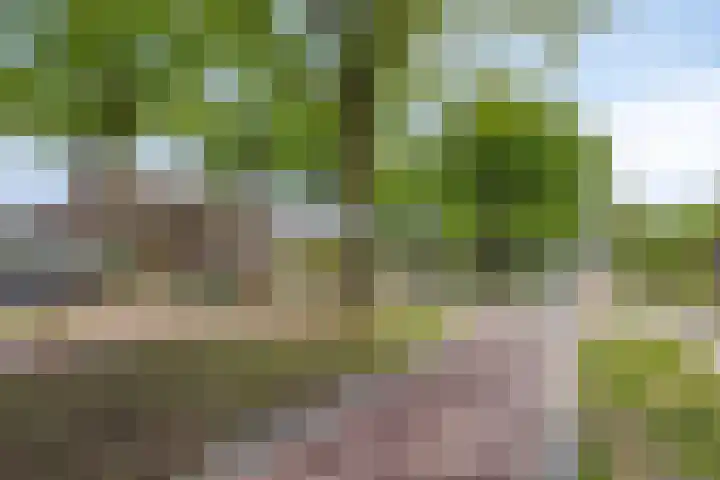 Eindhovenseweg 22 Steensel thumbnail 53