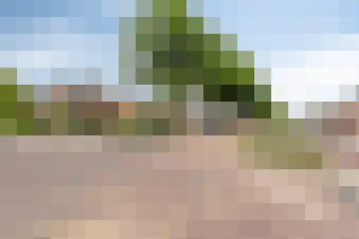 Eindhovenseweg 22 Steensel thumbnail 54