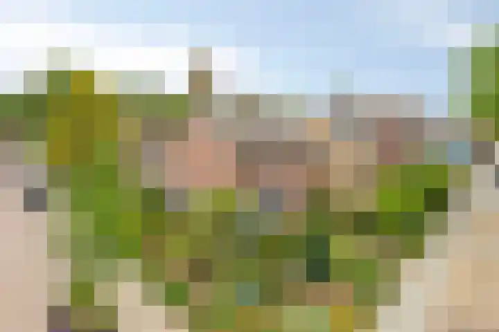 Eindhovenseweg 22 Steensel thumbnail 60