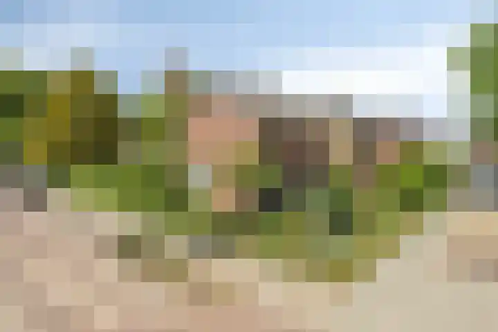 Eindhovenseweg 22 Steensel thumbnail 8