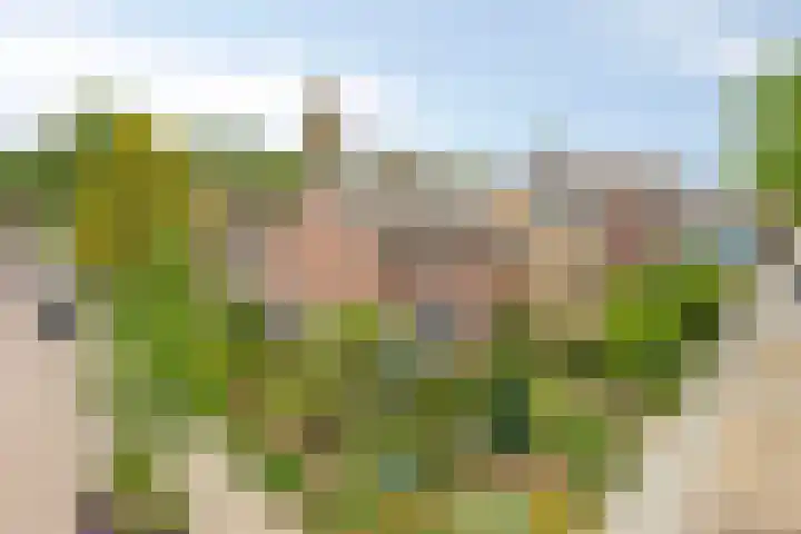 Eindhovenseweg 22 Steensel thumbnail 9