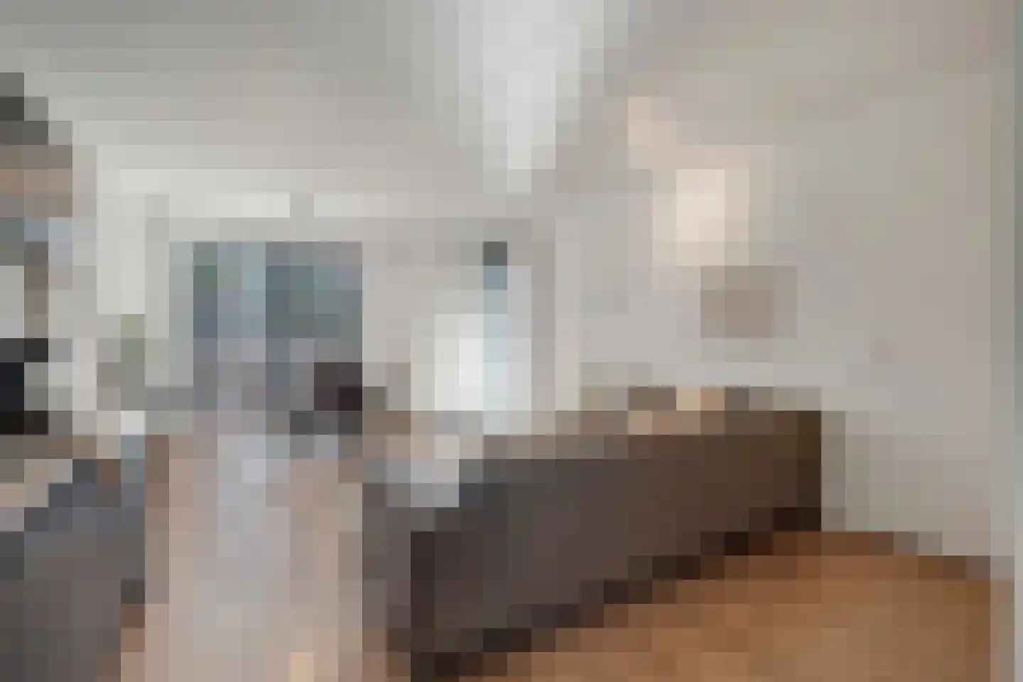Eindhovenseweg 24 b Waalre thumbnail 10