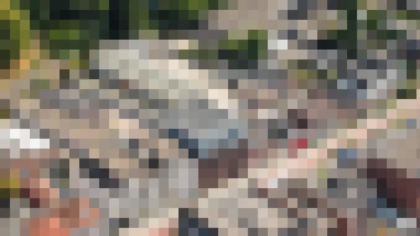 Eindhovenseweg 24 b Waalre thumbnail 25
