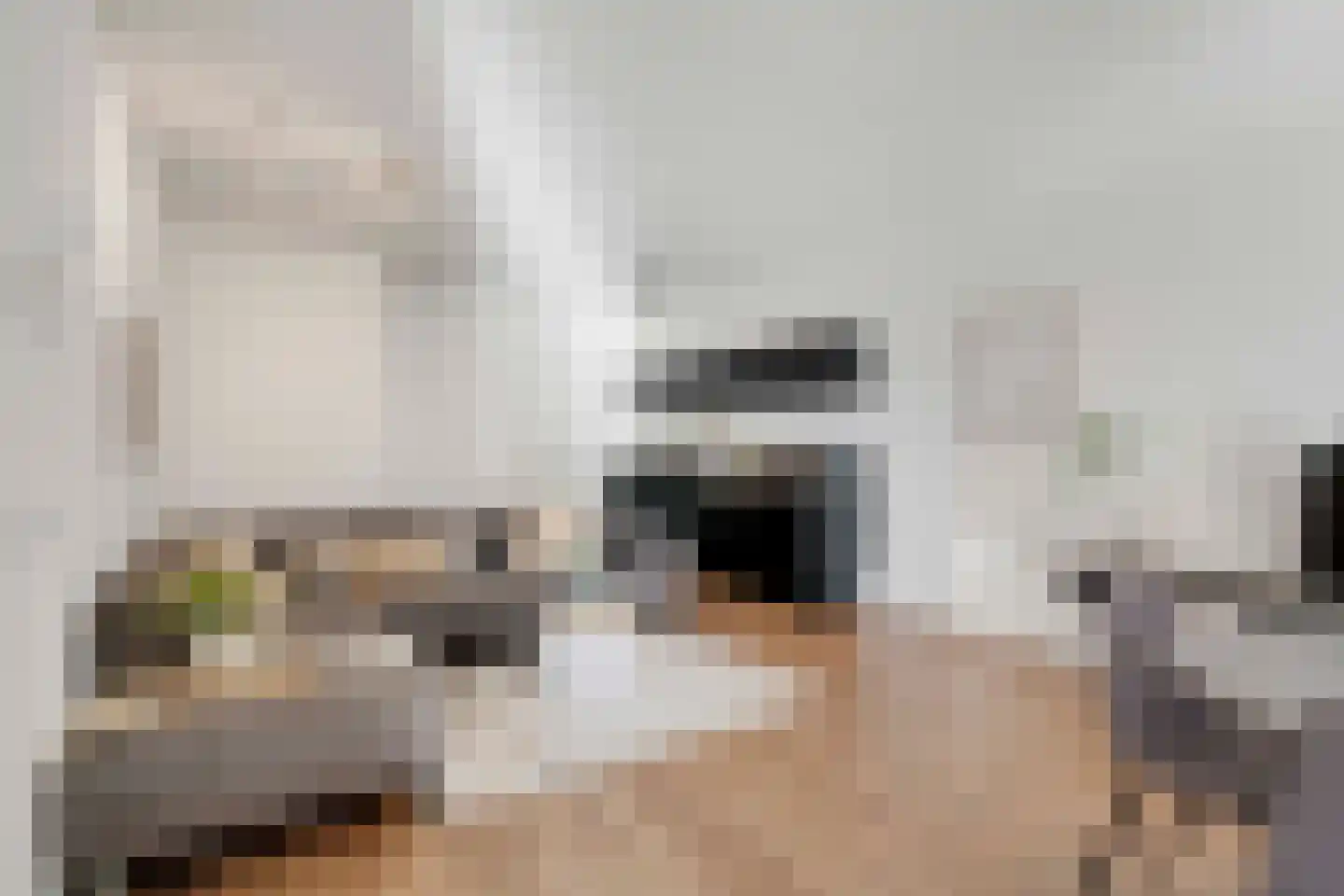 Eindhovenseweg 24 b Waalre thumbnail 5