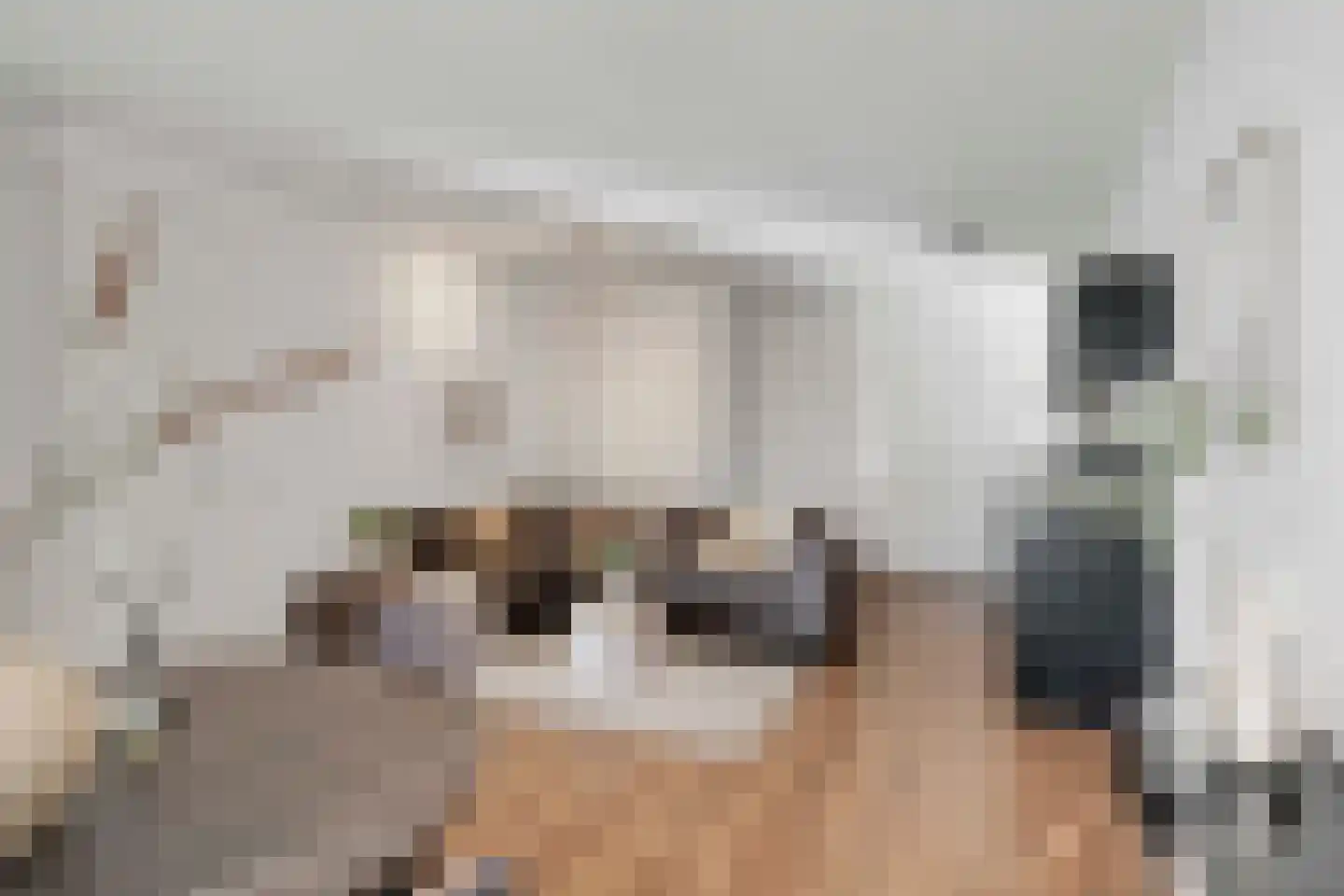 Eindhovenseweg 24 b Waalre thumbnail 6