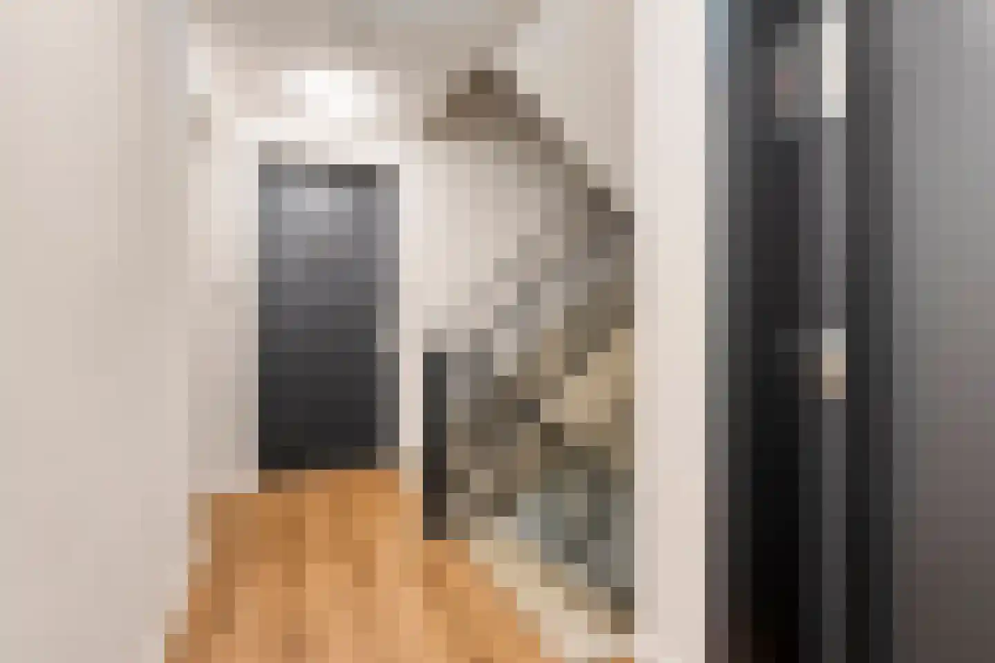 Eindhovenseweg 24 e Waalre thumbnail 10