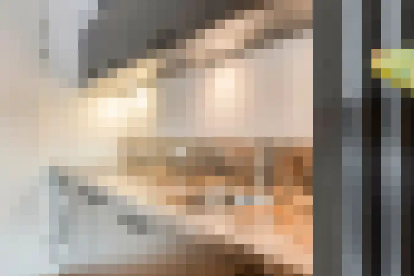 Eindhovenseweg 24 e Waalre thumbnail 17