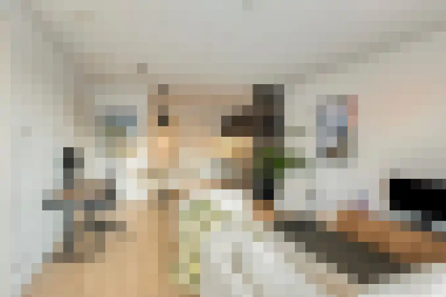 Eindhovenseweg 24 e Waalre thumbnail 20