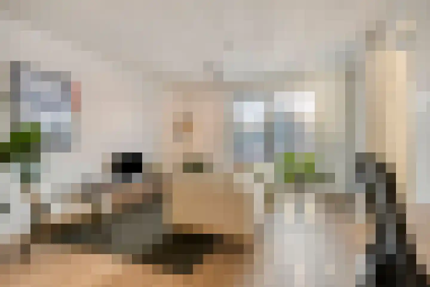 Eindhovenseweg 24 e Waalre thumbnail 22