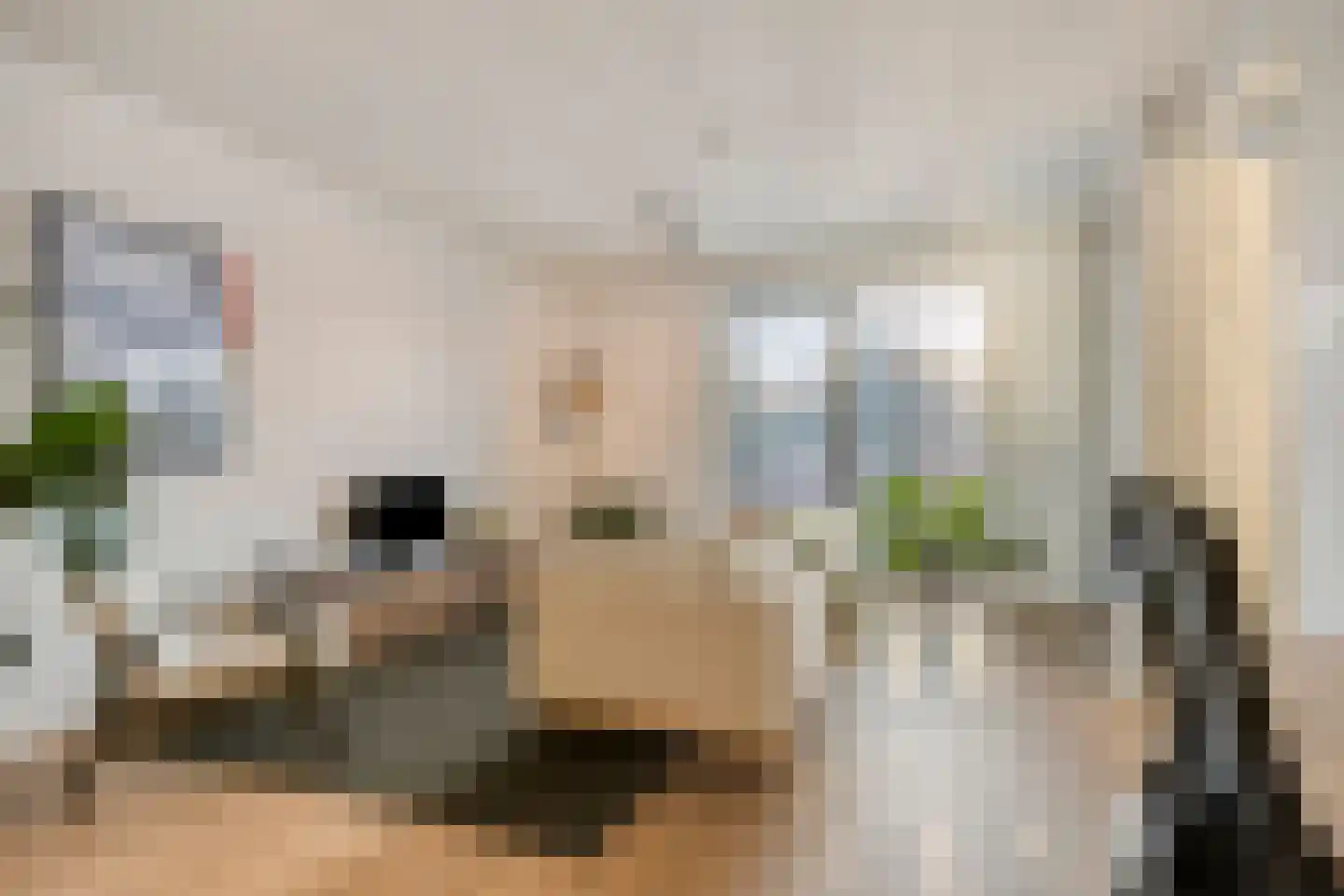 Eindhovenseweg 24 e Waalre thumbnail 4