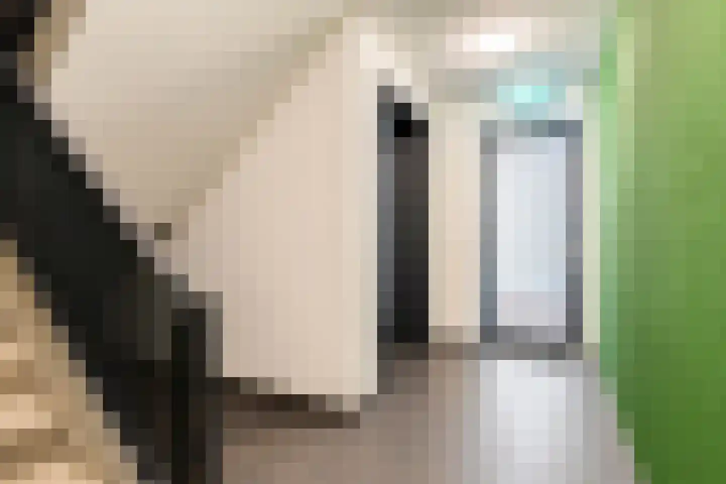 Eindhovenseweg 24 e Waalre thumbnail 9