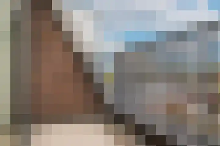 Eindhovenseweg 24 h Waalre thumbnail 18