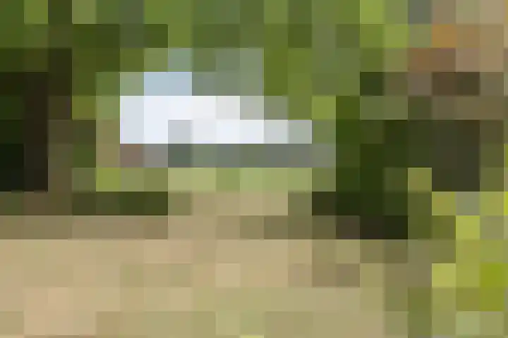 Eindhovenseweg 27 b Son en Breugel thumbnail 19