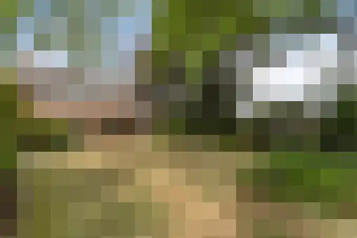 Eindhovenseweg 27 b Son en Breugel thumbnail 20