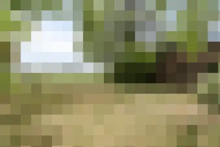 Eindhovenseweg 27 b Son en Breugel thumbnail 21