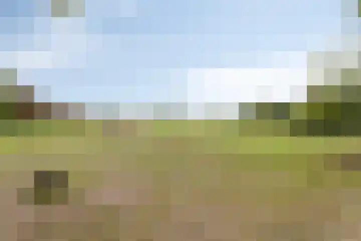 Eindhovenseweg 27 b Son en Breugel thumbnail 22