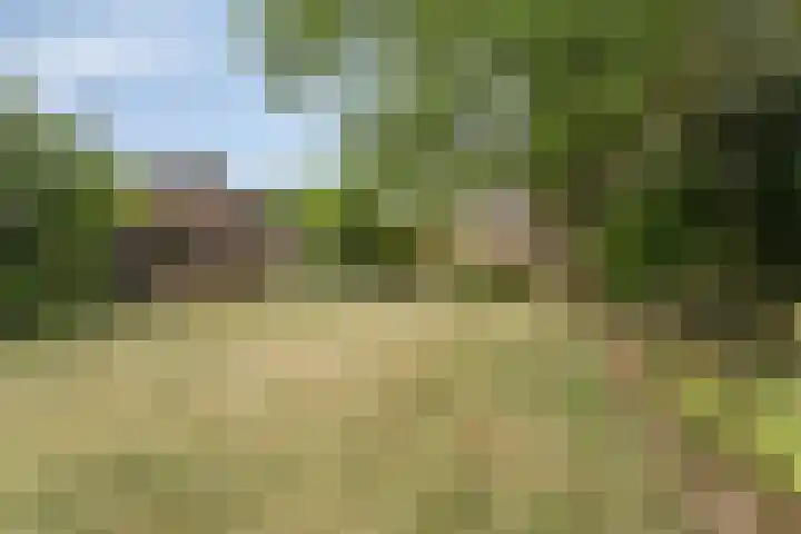Eindhovenseweg 27 b Son en Breugel thumbnail 23