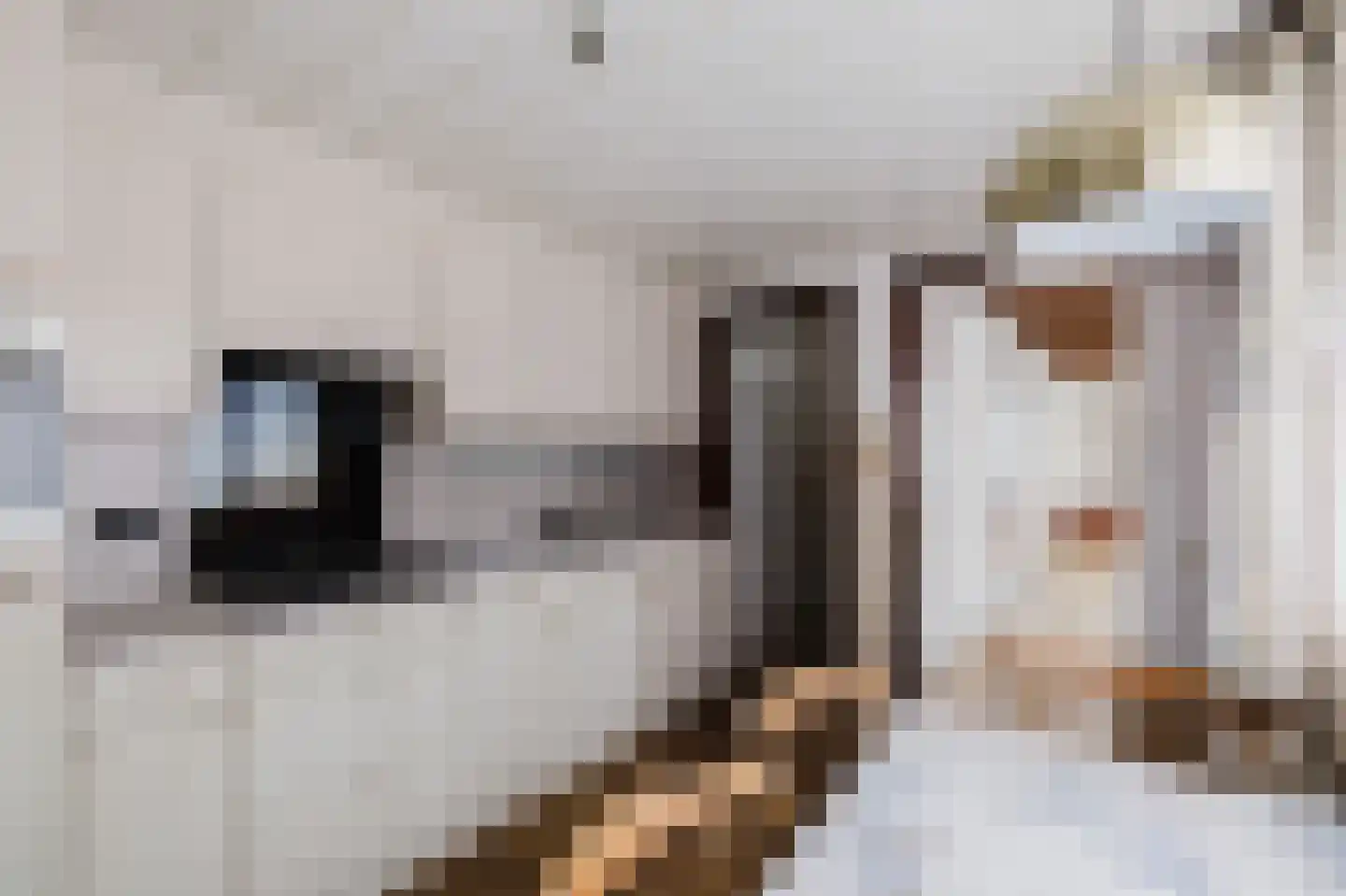 Eindhovenseweg 3 Waalre thumbnail 10