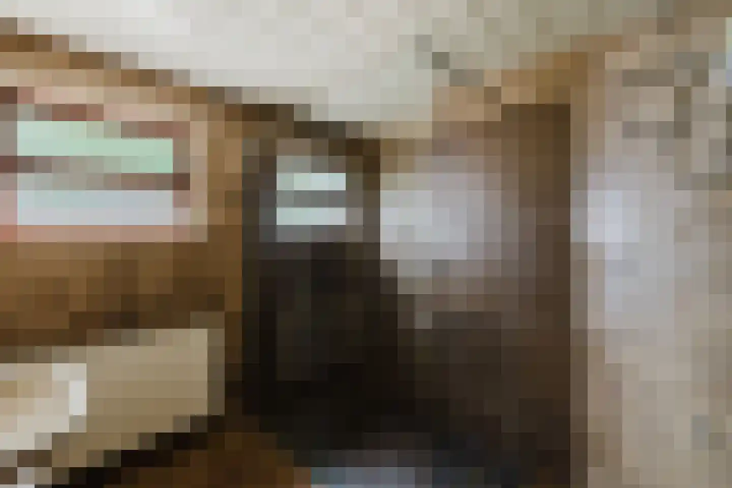 Eindhovenseweg 3 Waalre thumbnail 14