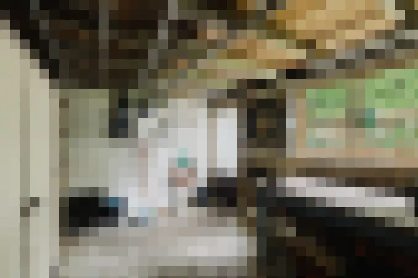 Eindhovenseweg 3 Waalre thumbnail 23