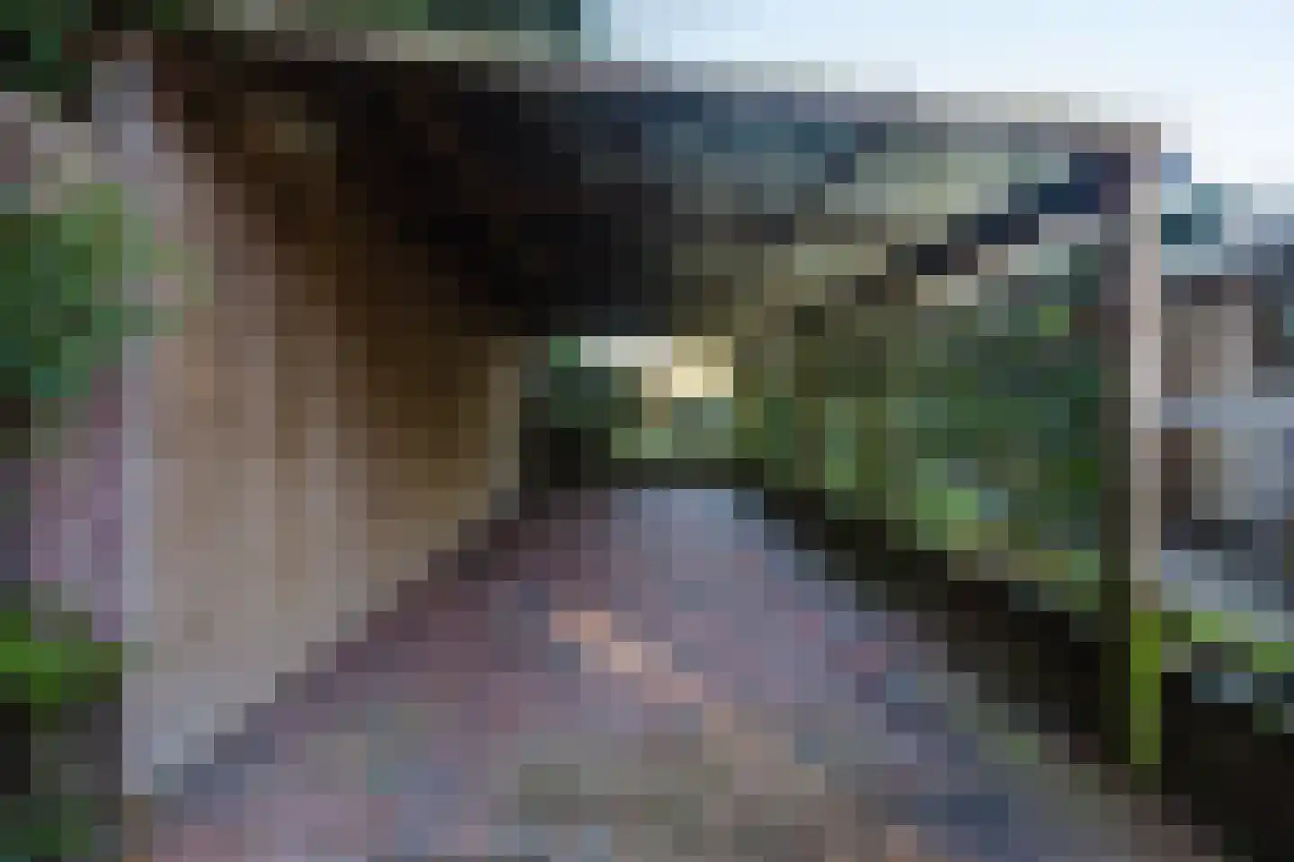 Eindhovenseweg 3 Waalre thumbnail 25