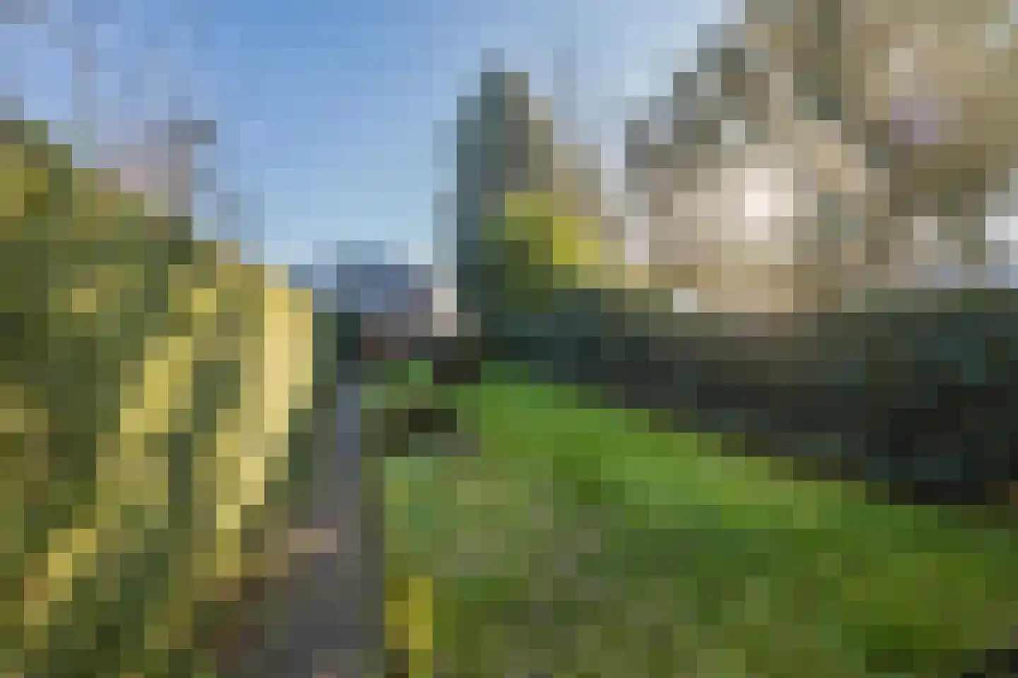 Eindhovenseweg 3 Waalre thumbnail 4