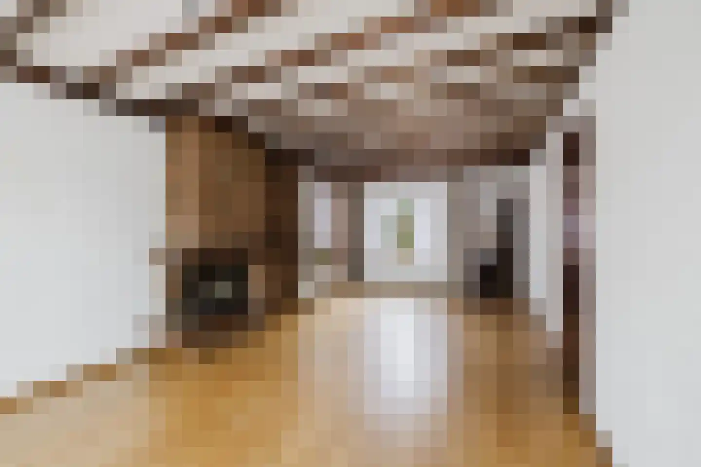 Eindhovenseweg 3 Waalre thumbnail 8