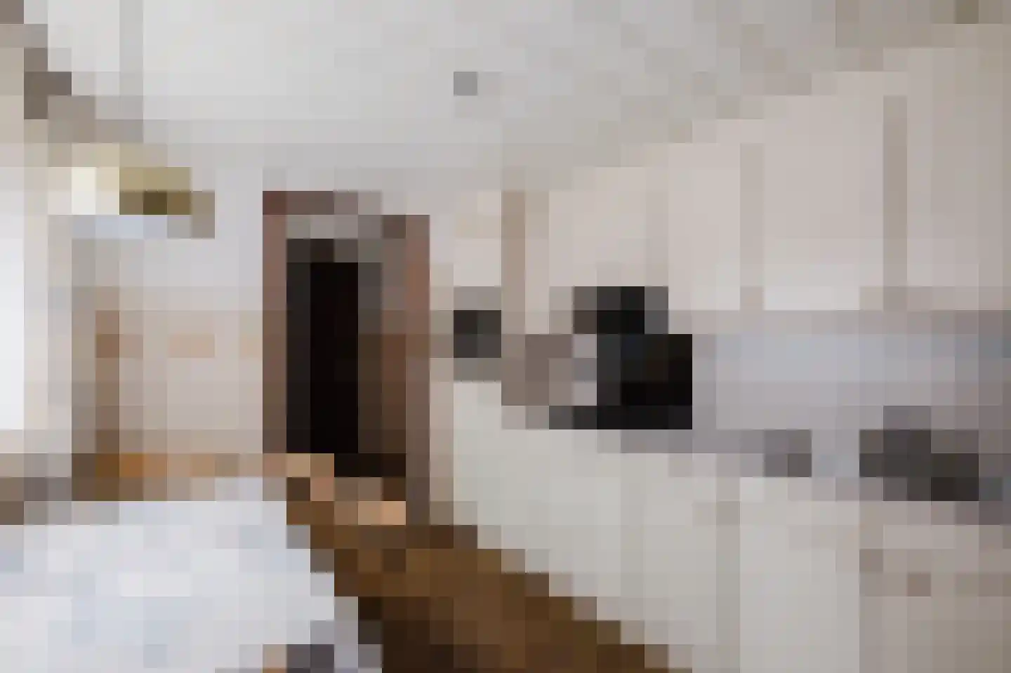 Eindhovenseweg 3 Waalre thumbnail 9