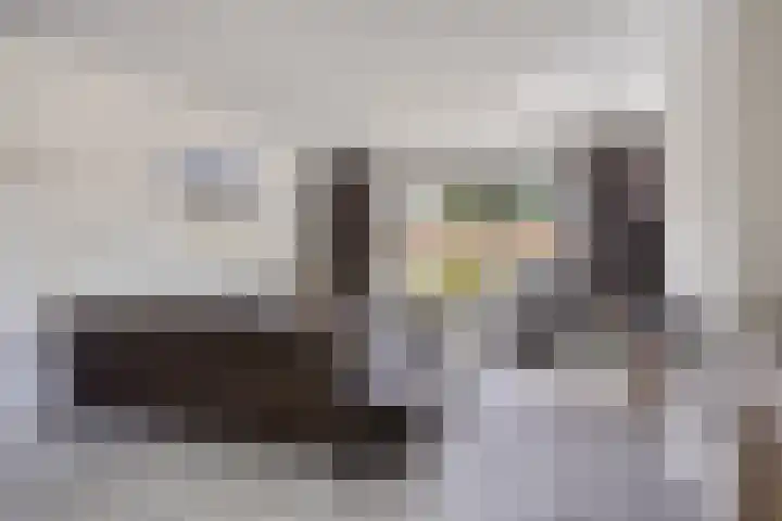 Eindhovenseweg 34 Steensel thumbnail 11