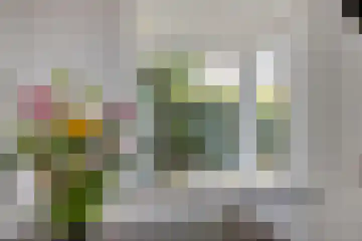 Eindhovenseweg 34 Steensel thumbnail 16